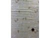 2504-GH10665S-D